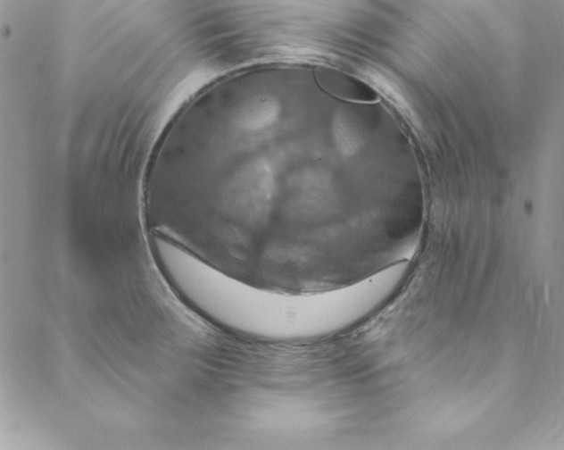 X0000088751283200706141719