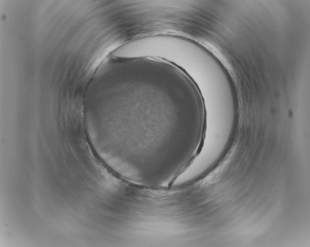 X0000088751289200706141719