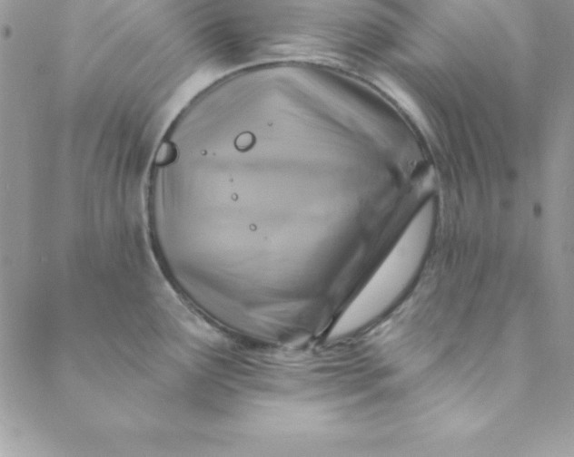X0000088751291200706141719