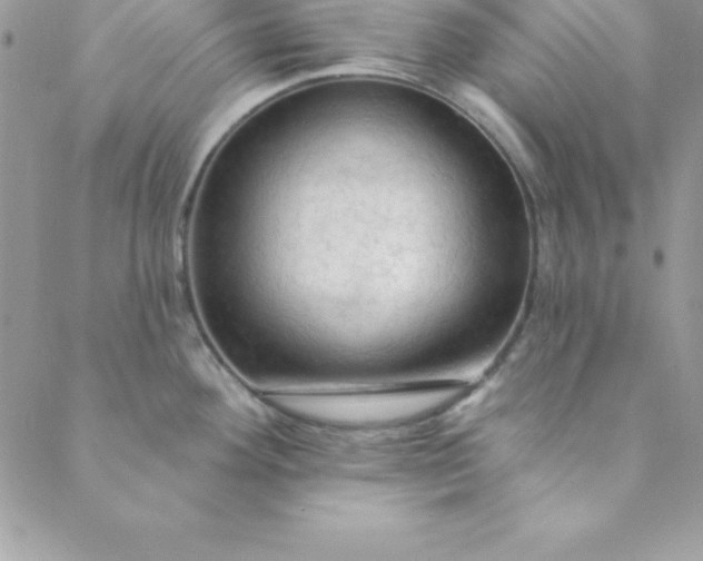 X0000088751292200706141719