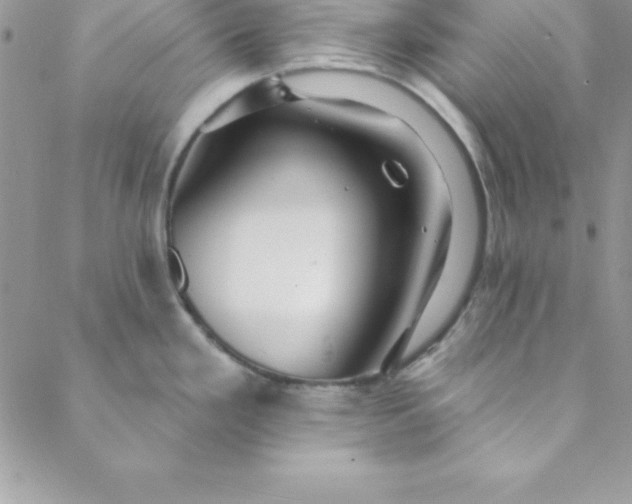 X0000088751293200706141719