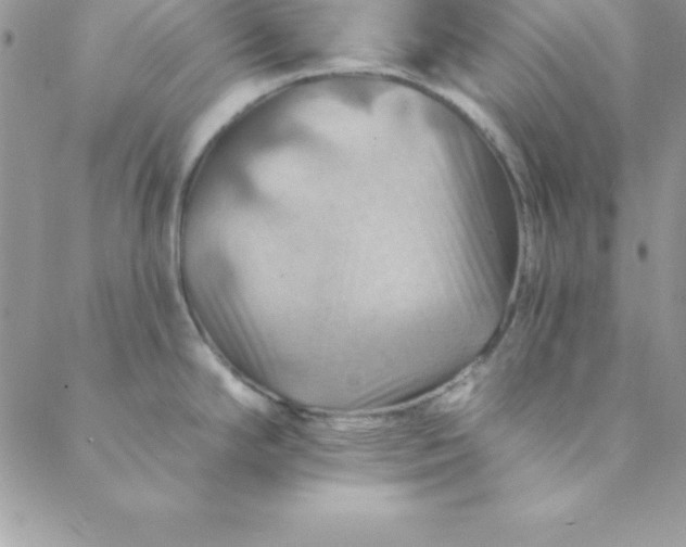 X0000088751294200706141719