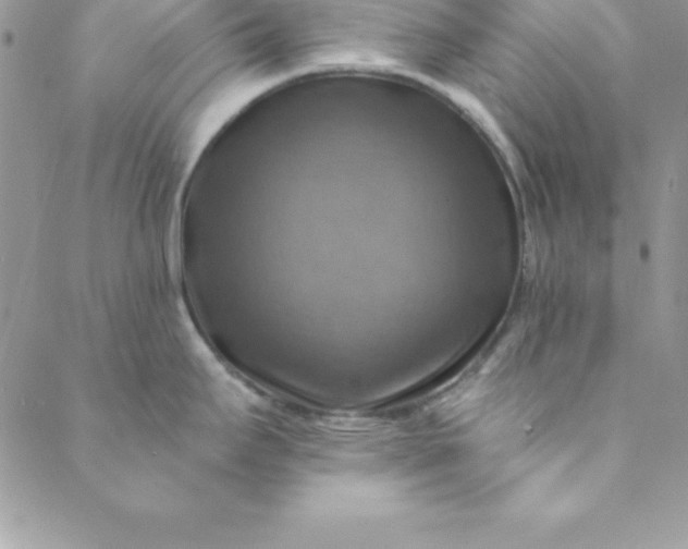 X0000088751295200706141719