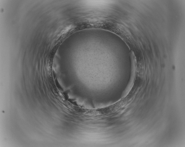 X0000088751298200706141718