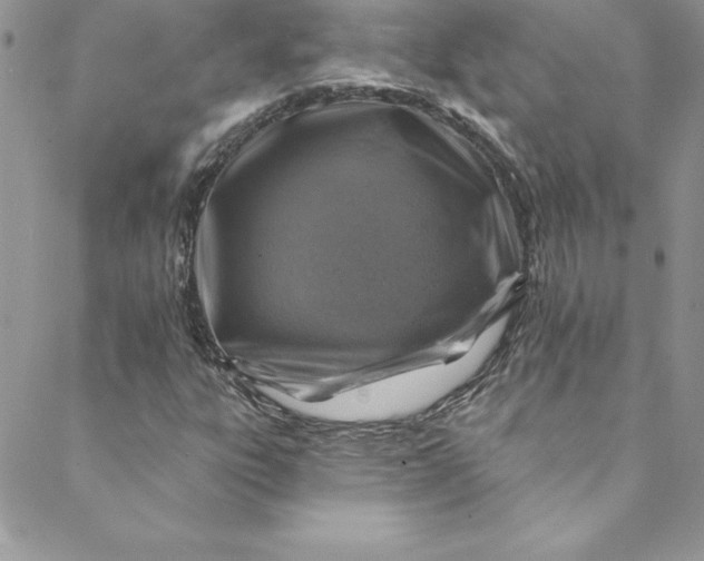 X0000088751303200706141718