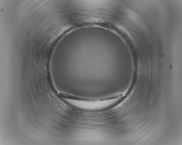 X0000088751305200706141718