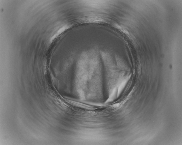 X0000088751306200706141718