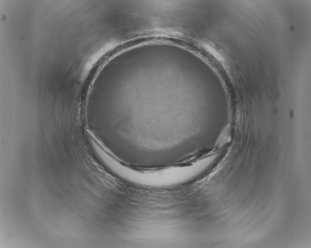 X0000088751310200706141718