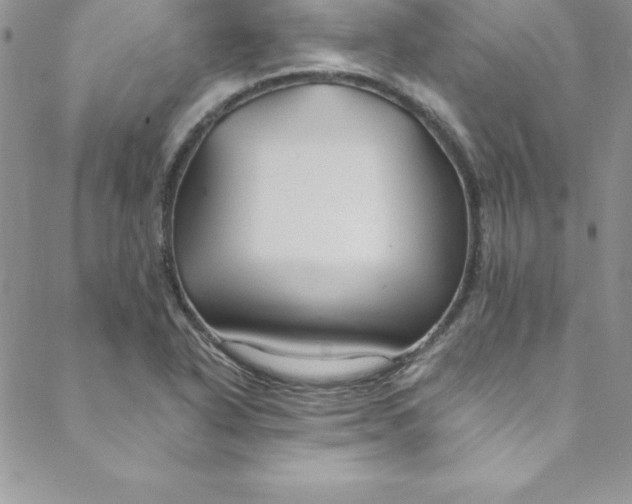 X0000088751318200706141718