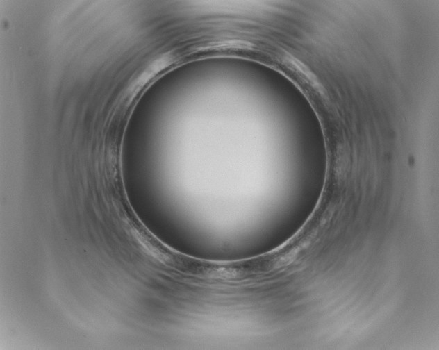 X0000088751321200706141718