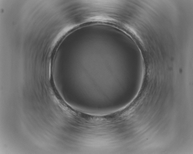 X0000088751323200706141718