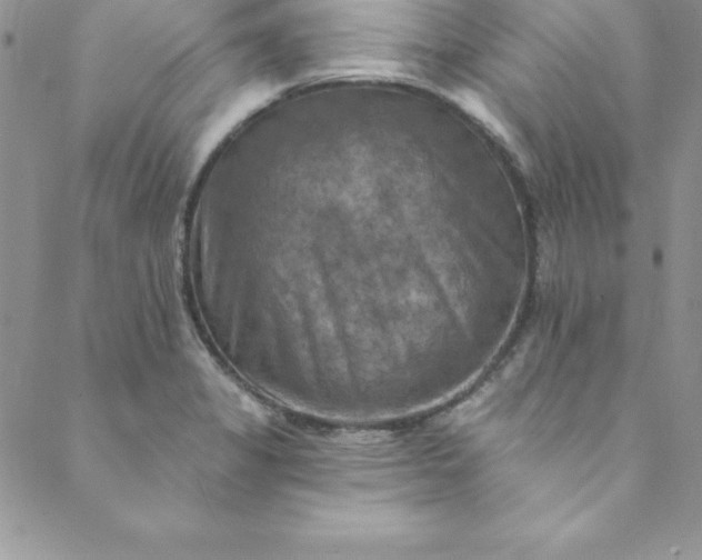 X0000088751325200706141718