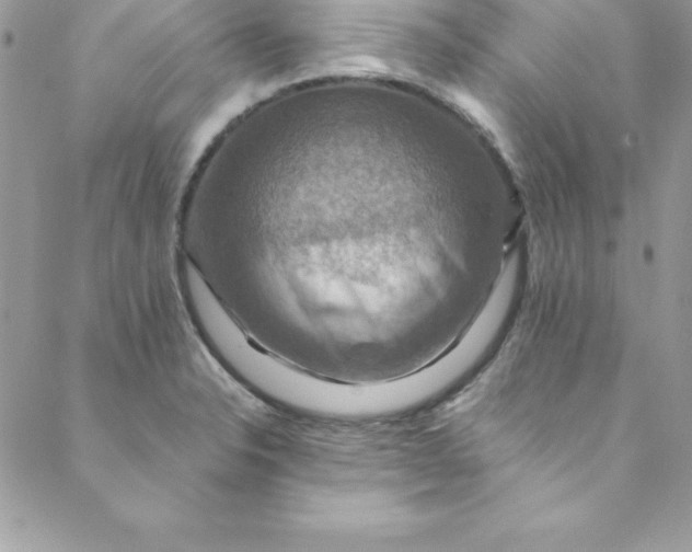 X0000088751326200706141718