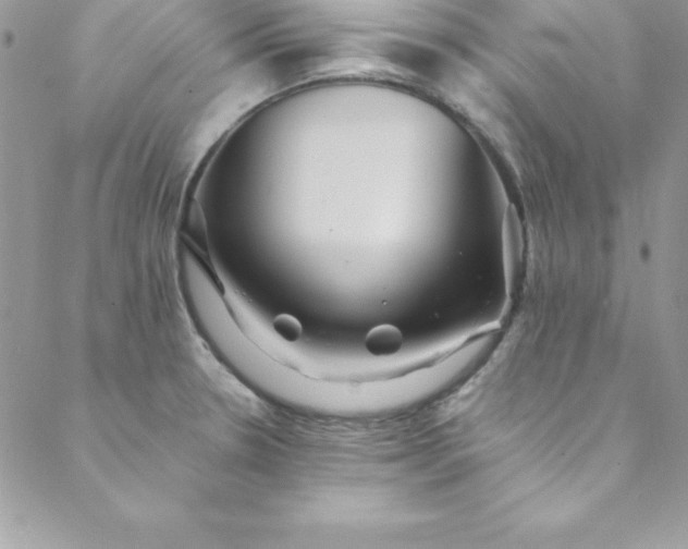 X0000088751330200706141718