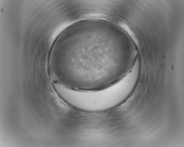 X0000088751336200706141718