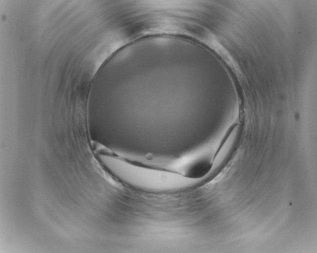 X0000088751337200706141718