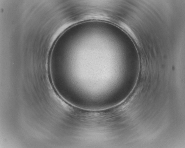 X0000088751339200706141718