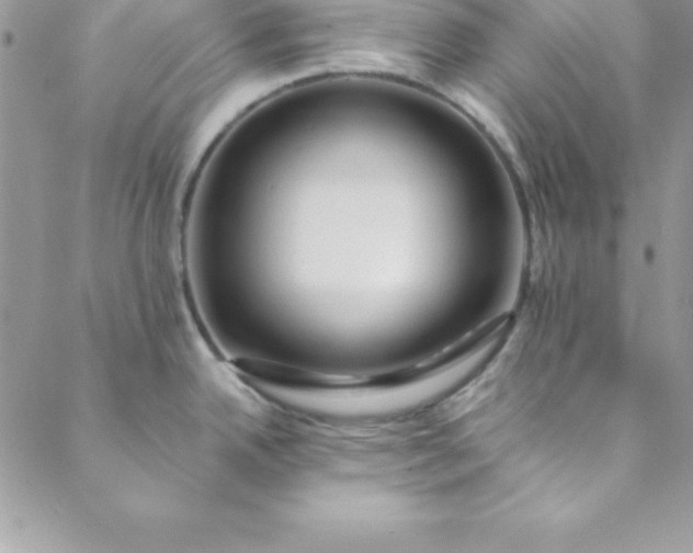 X0000088751342200706141719