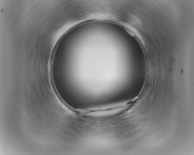 X0000088751343200706141719