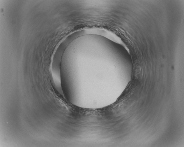 X0000088751345200706141718