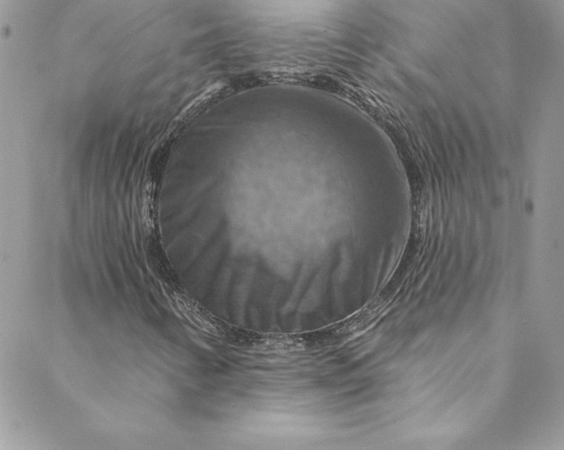 X0000088751346200706141718