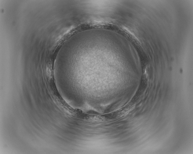 X0000088751348200706141718