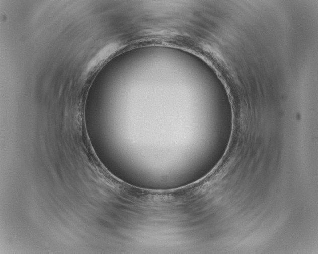 X0000088751354200706141718