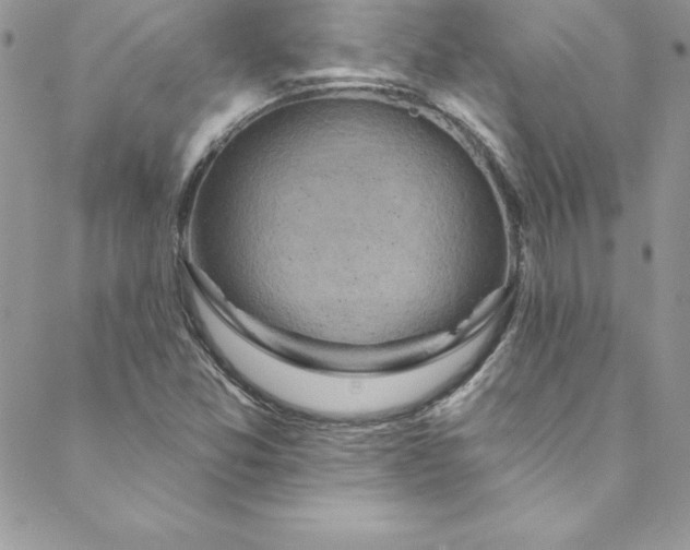 X0000088751357200706141718