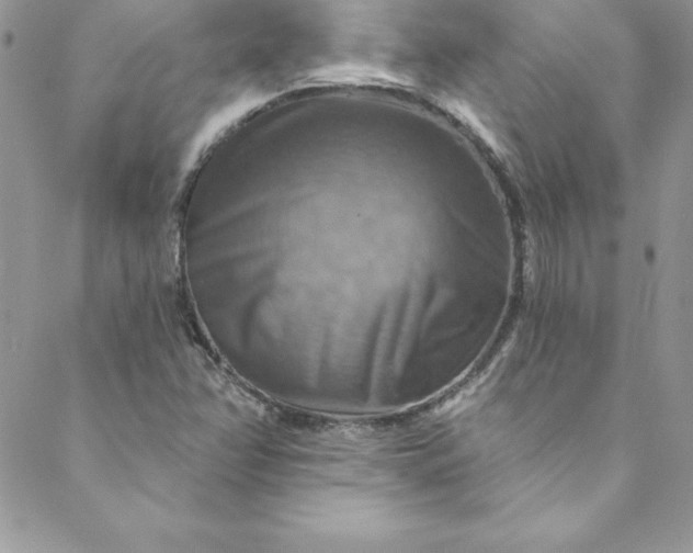 X0000088751358200706141718