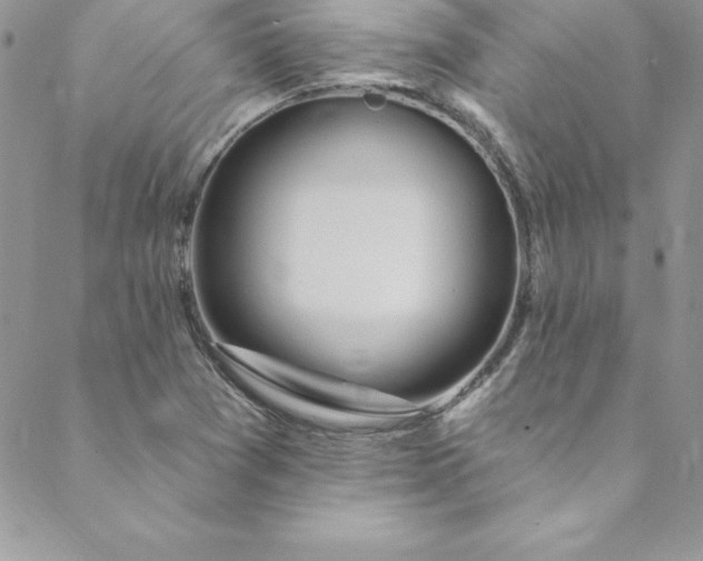 X0000088751361200706141718