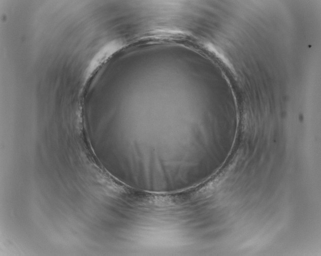 X0000088751362200706141717