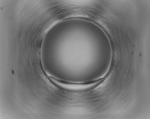 X0000088751369200706141717