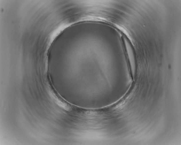 X0000088751371200706141717