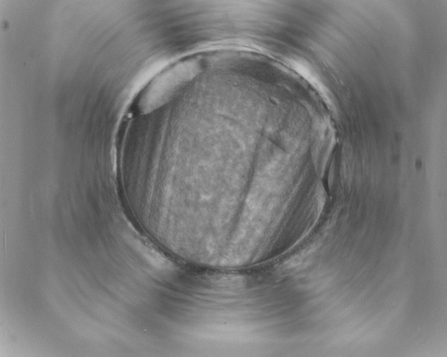 X0000088751372200706141717