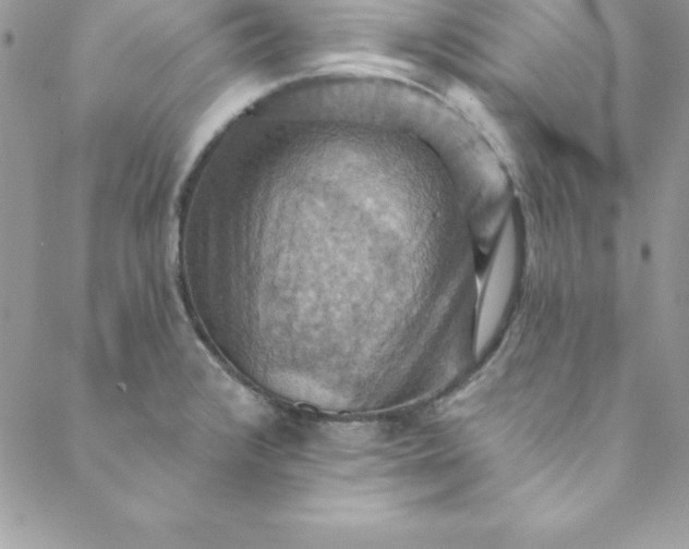 X0000088751376200706141717
