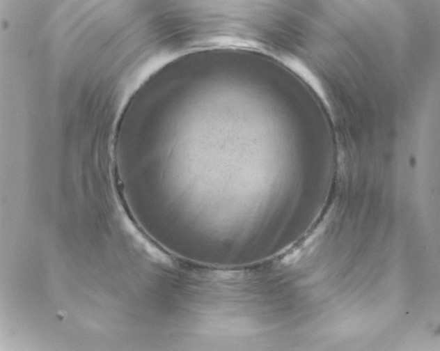 X0000088751381200706141717