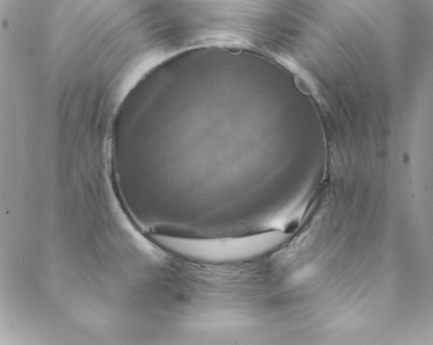 X0000088751383200706141717