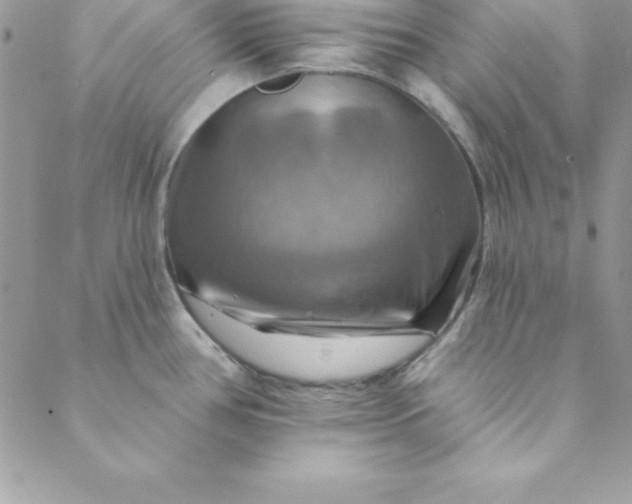 X0000088751386200706141717