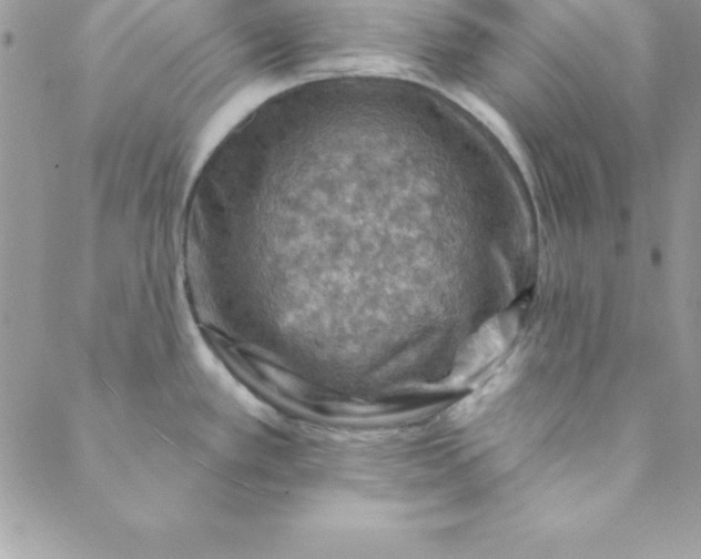 X0000088751389200706141717
