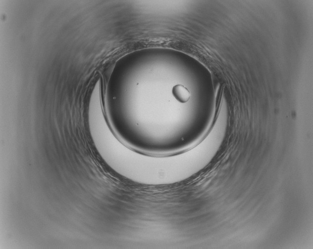 X0000088751394200706141716