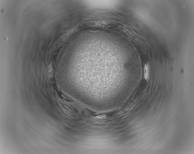 X0000088751395200706141716