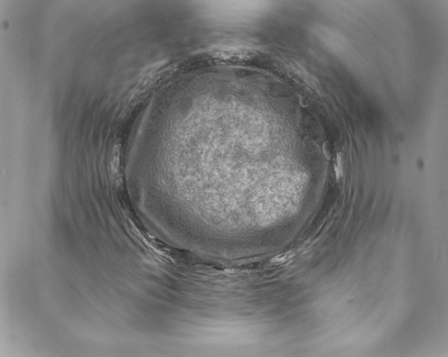 X0000088751396200706141716