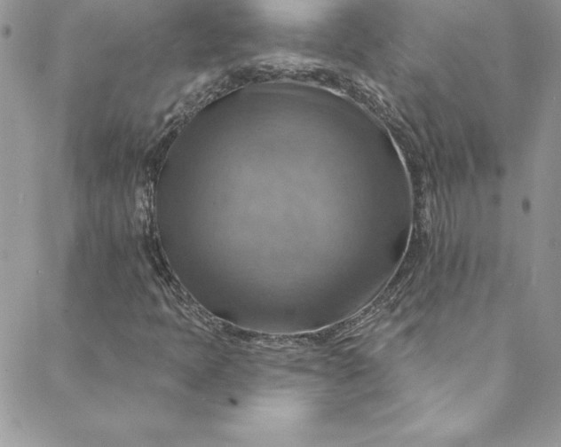 X0000088751397200706141716
