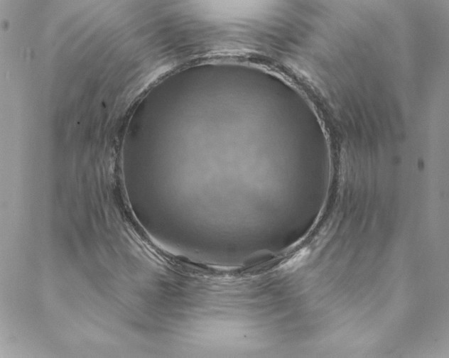 X0000088751401200706141716