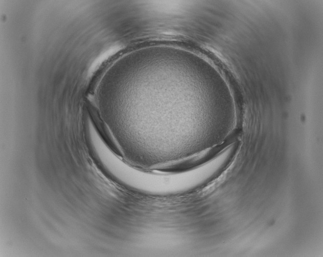 X0000088751402200706141716