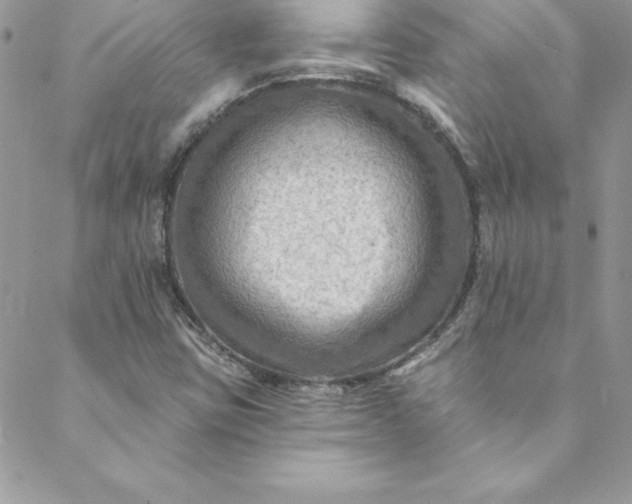 X0000088751403200706141716