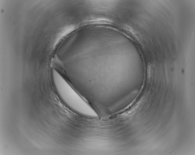 X0000088751405200706141716