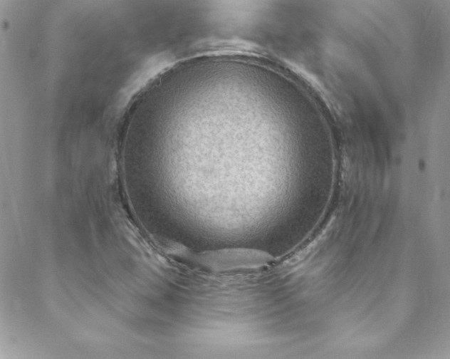 X0000088751407200706141716