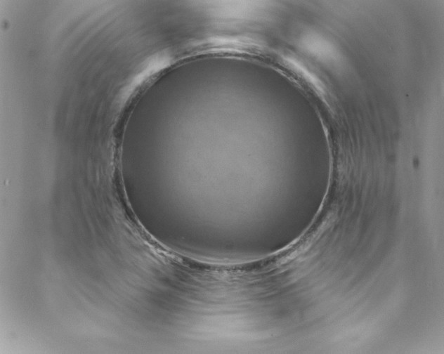 X0000088751411200706141717