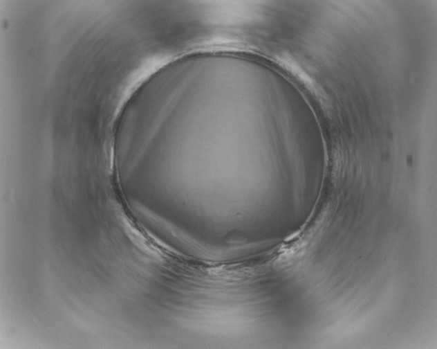 X0000088751413200706141717